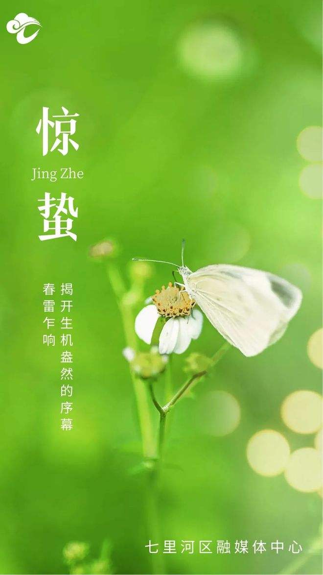 苹果7绿色特别版苹果11的绿色叫什么色-第2张图片-太平洋在线下载