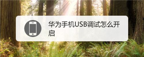 华为usb在手机哪里打开华为手机usb调试在哪里设置-第2张图片-太平洋在线下载