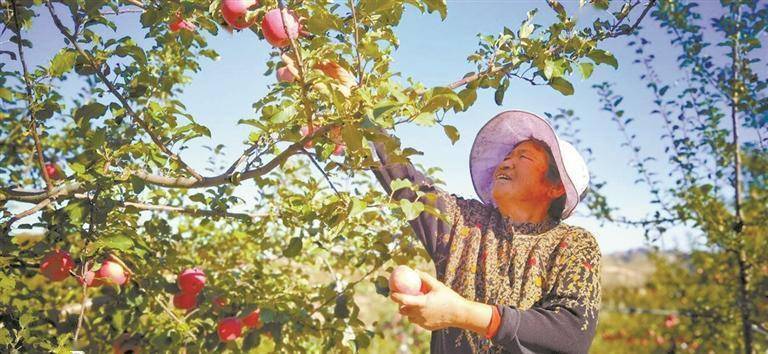 触手破解版苹果
:横山：增进民生福祉 全力提升群众幸福指数-第1张图片-太平洋在线下载