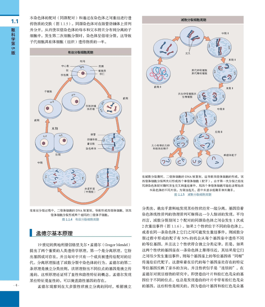 闪电好信苹果版:陈有信教授主译《眼科学（第5版）》入选“医界好书”-第15张图片-太平洋在线下载