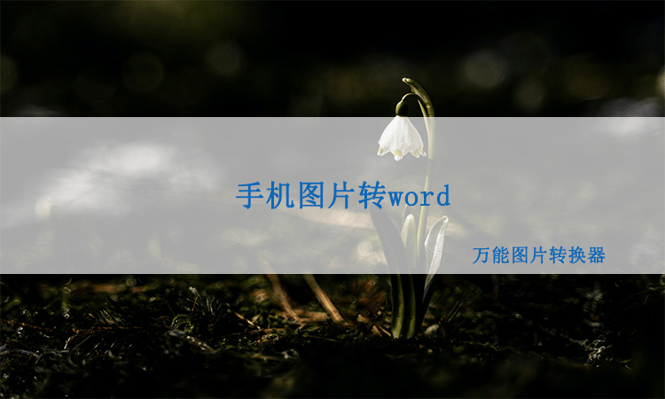 手机图片:手机图片转word？图片转word轻轻松松就搞定！