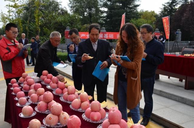 村干部助力苹果销售新闻第一书记帮助村民销售农产品新闻