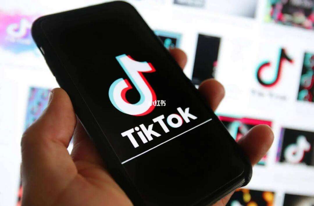 美版tiktok苹果版tiktok跨境电商官网-第2张图片-太平洋在线下载