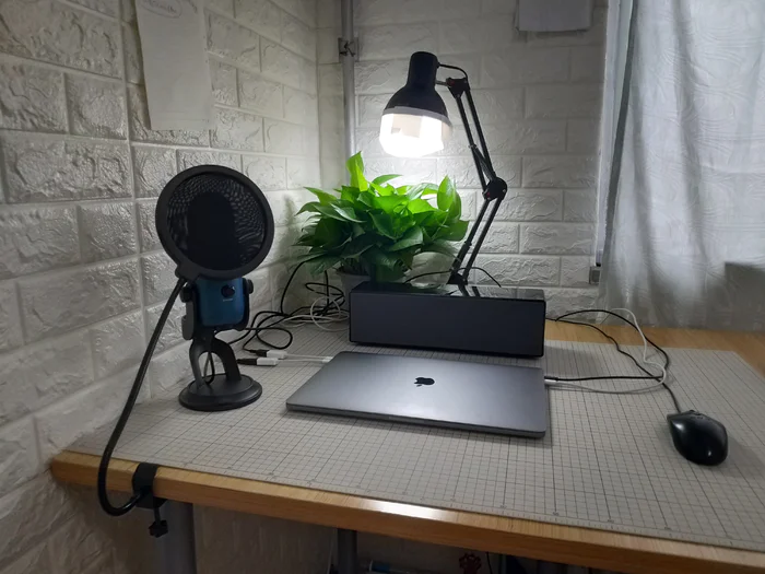 z站苹果版下载(zozoc苹果下载)