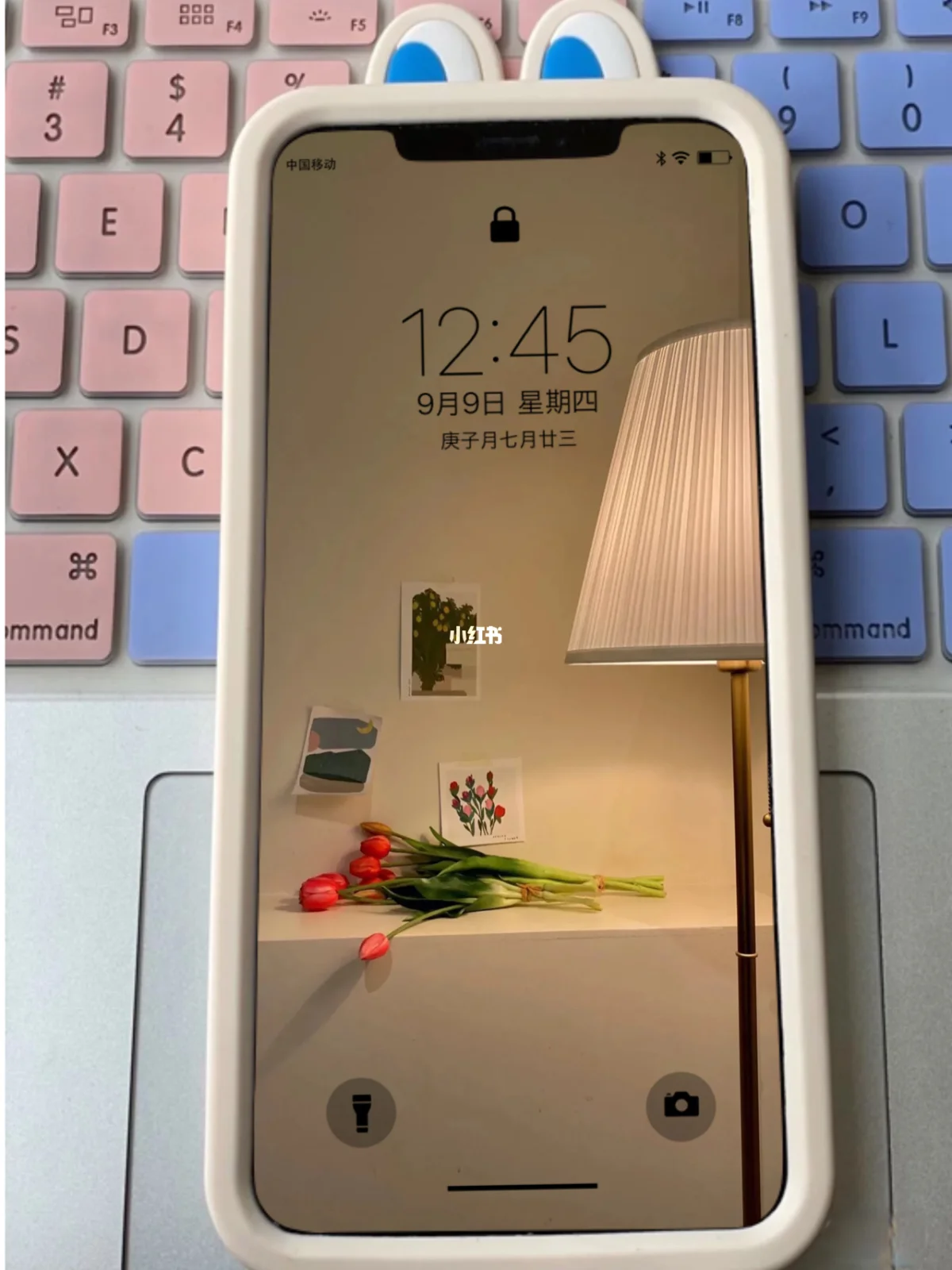 ins苹果版要求(ins iphone)-第11张图片-有道翻译官网